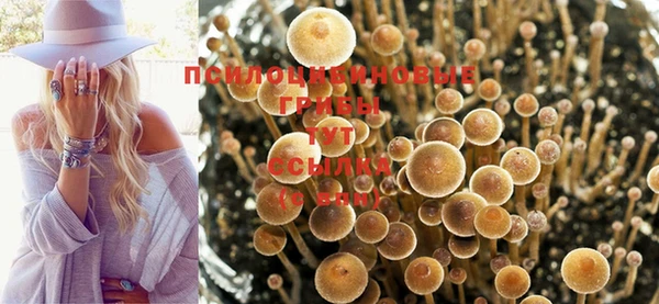 кокаин колумбия Липки